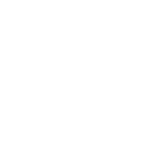 vnand logo